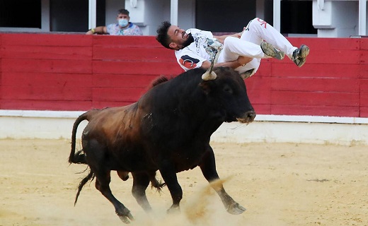 Momento de la cogida de Eusebio Sacristán 'Use', este domingo en Medina del Campo. /
JACINTO NAVAS