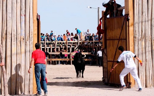 La Plaza de Toros, construida con palos, de Montemayor de Pililla. Fue declarada como Bien de Interés Cultural en 2007.