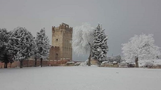 Las visitas de la emperatriz Isabel a Medina del Campo