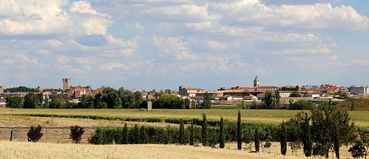 Medina del Campo: biomasa y eficiencia energética