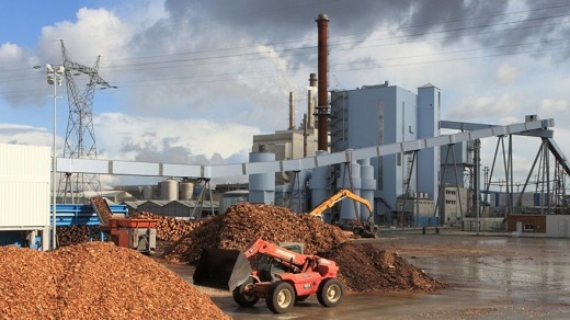 Ejemplo de Planta de Biomasa