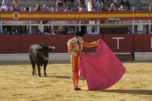 Medina del Campo cierra la fase semifinal del Circuito de Novilladas de Castilla y León.