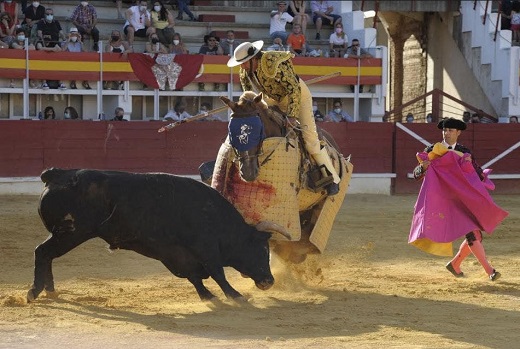 Medina del Campo cierra la fase semifinal del Circuito de Novilladas de Castilla y León.