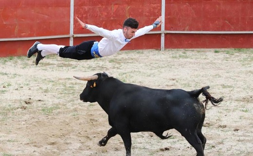 Uno de los recortadores realiza un salto por encima del astado /
MARÍA M. SERNA
