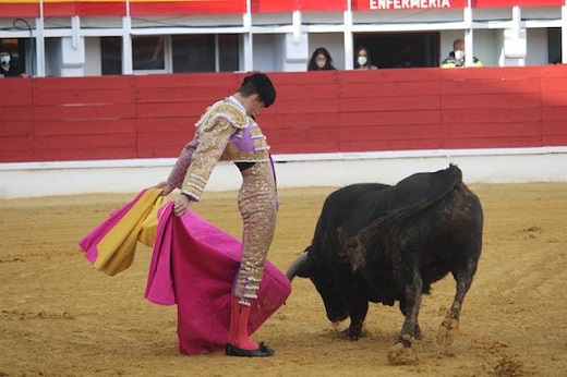 Sergio Rodríguez durante la novillada sin picadores del 7 de noviembre de 2020 en Medina del Campo // Imagen: P. De la Fuente