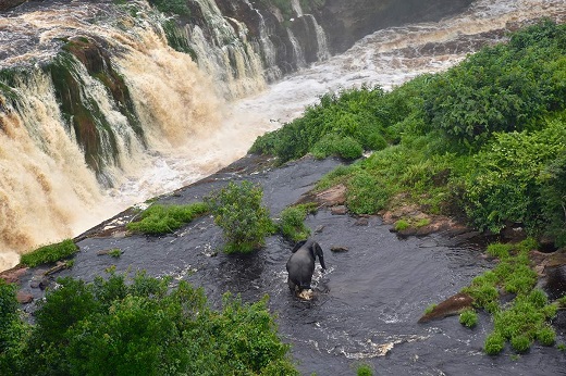 Parque Nacional Ivindo