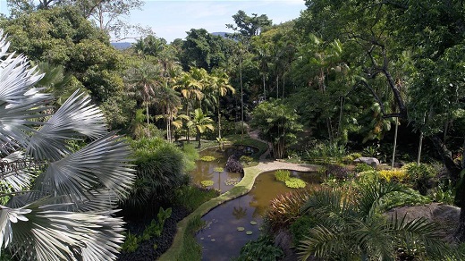 Sitio Roberto Burle Marx