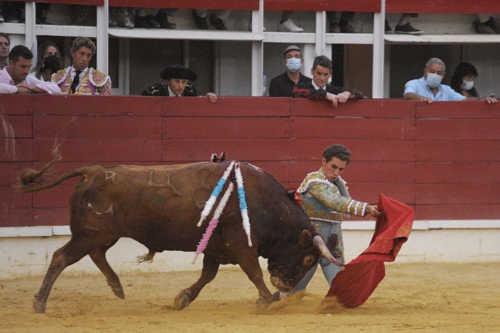 Corrida de toros del día 29 de agosto de 2021 en las Ferias y Fiesta de San Antolín de Medina del Campo (REGRESAMOS)