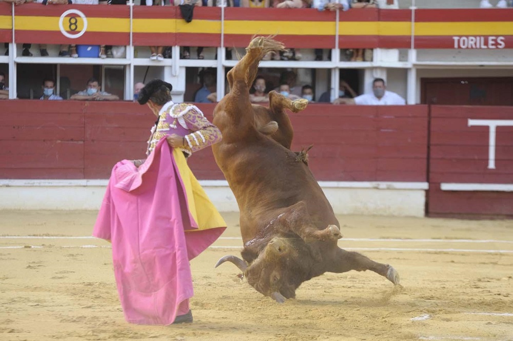 Corrida de toros del día 29 de agosto de 2021 en las Ferias y Fiesta de San Antolín de Medina del Campo (REGRESAMOS)