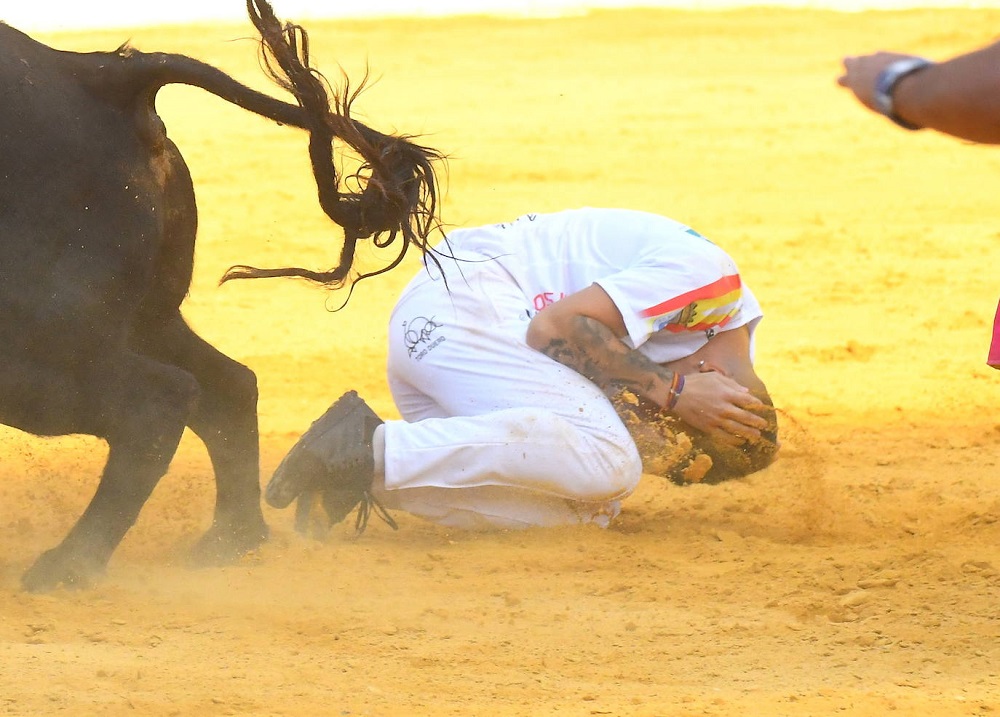 Reportaje fotográfico del Norte de Castilla. Concurso Nacional de Cortes en Medina del Campo 2021