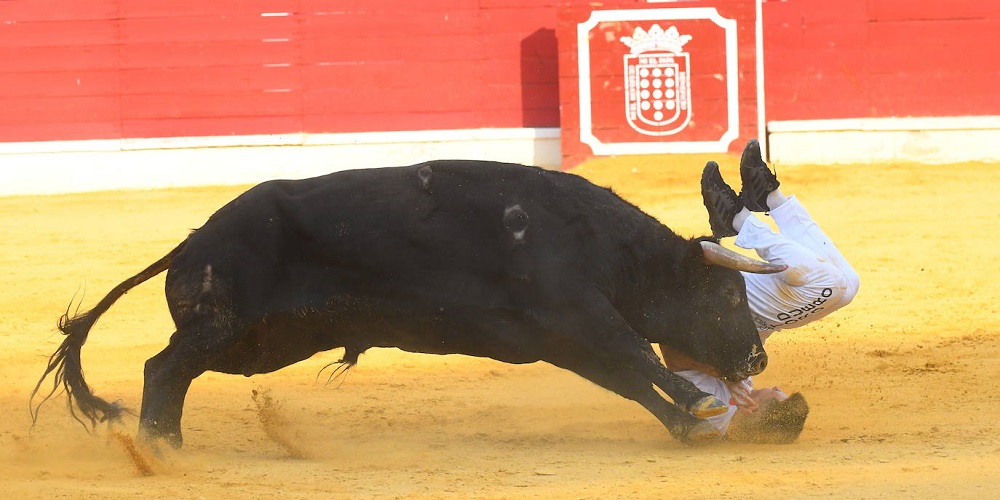 Reportaje fotográfico del Norte de Castilla. Concurso Nacional de Cortes en Medina del Campo 2021