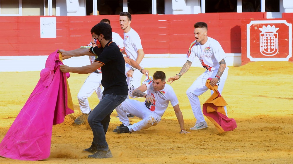 Reportaje fotográfico del Norte de Castilla. Concurso Nacional de Cortes en Medina del Campo 2021