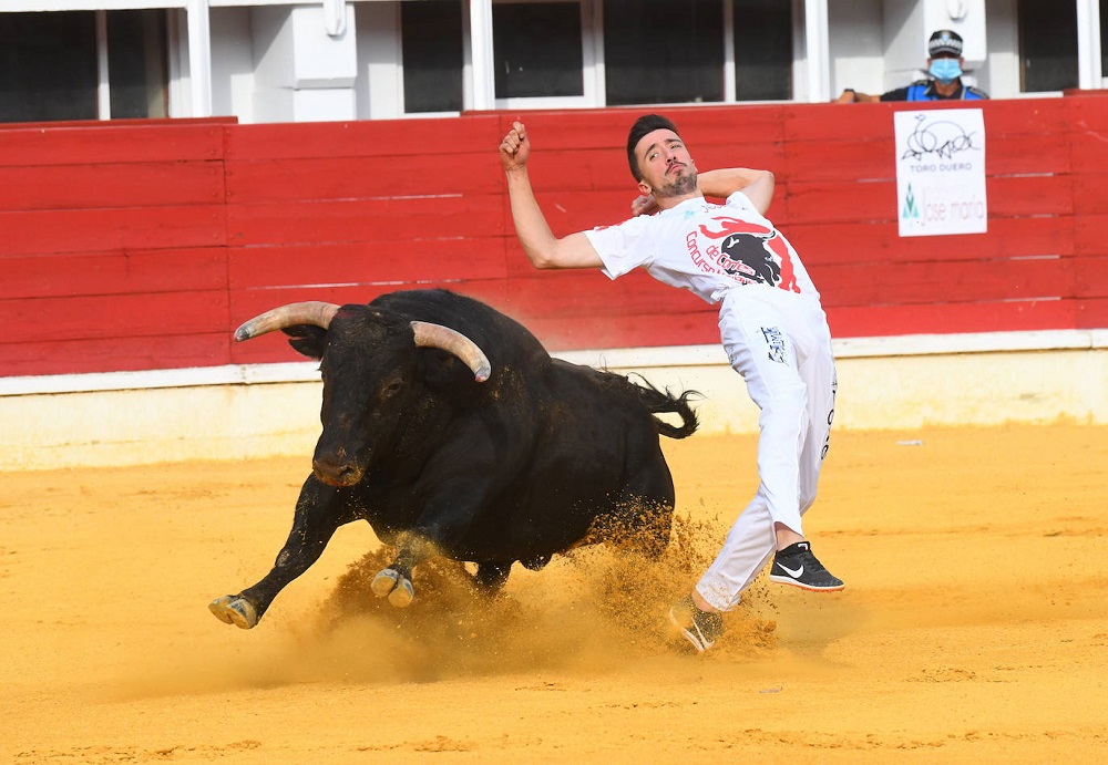 Reportaje fotográfico del Norte de Castilla. Concurso Nacional de Cortes en Medina del Campo 2021