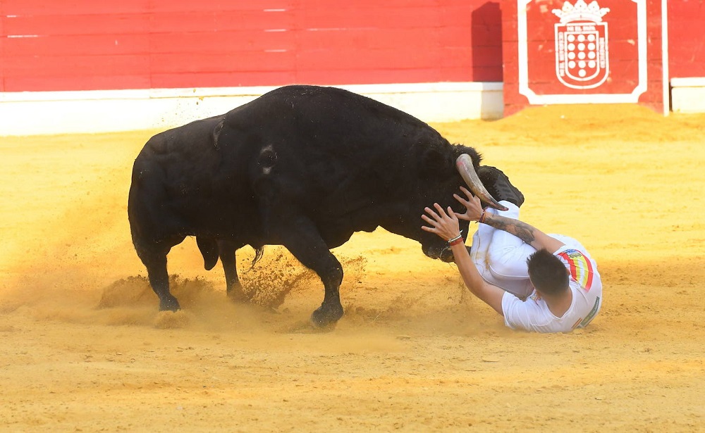 Reportaje fotográfico del Norte de Castilla. Concurso Nacional de Cortes en Medina del Campo 2021