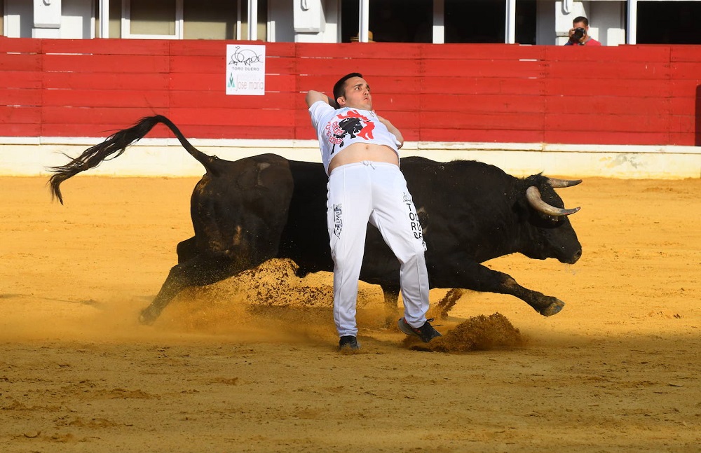 Reportaje fotográfico del Norte de Castilla. Concurso Nacional de Cortes en Medina del Campo 2021