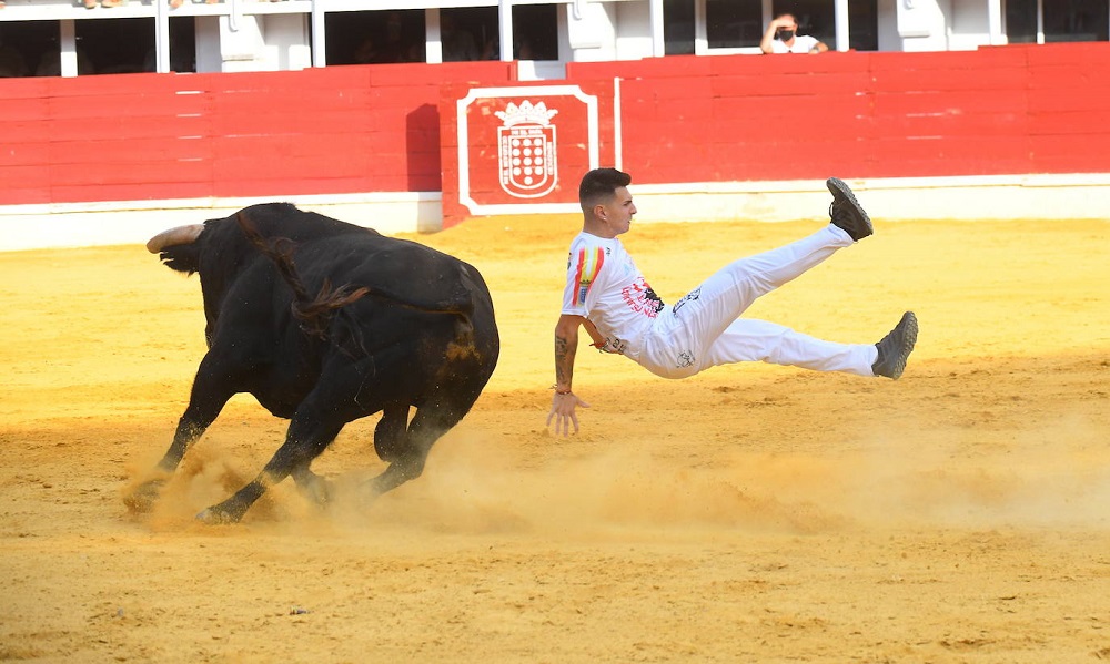 Reportaje fotográfico del Norte de Castilla. Concurso Nacional de Cortes en Medina del Campo 2021