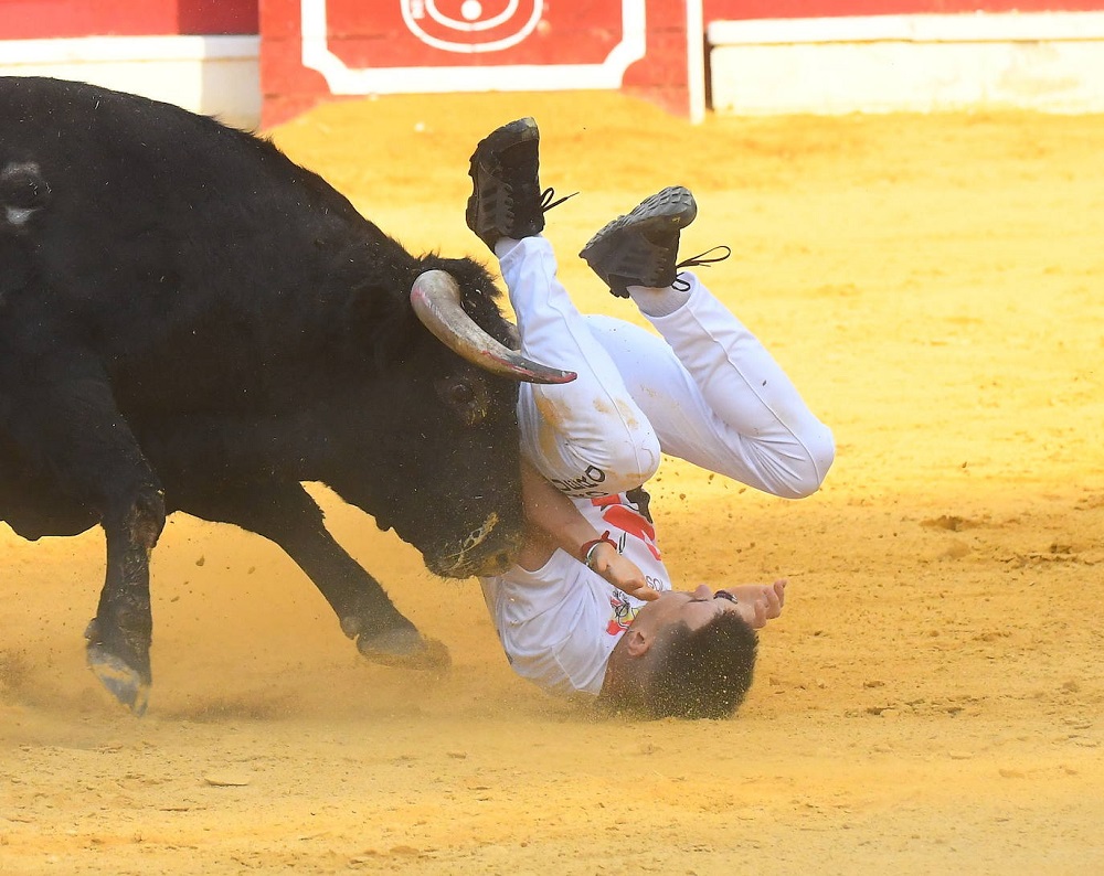 Reportaje fotográfico del Norte de Castilla. Concurso Nacional de Cortes en Medina del Campo 2021