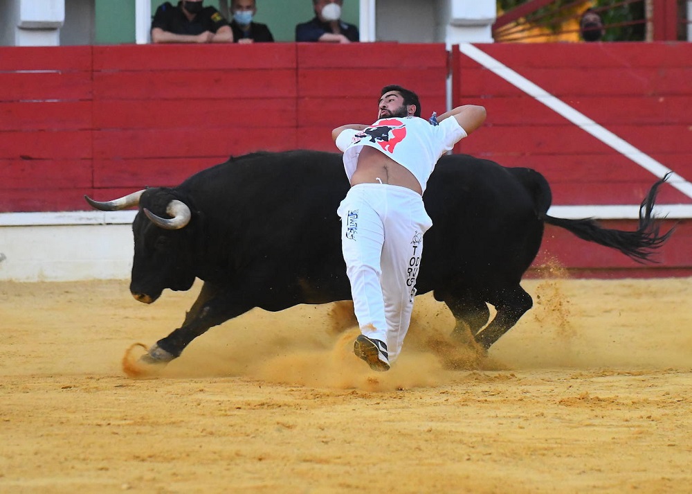 Reportaje fotográfico del Norte de Castilla. Concurso Nacional de Cortes en Medina del Campo 2021