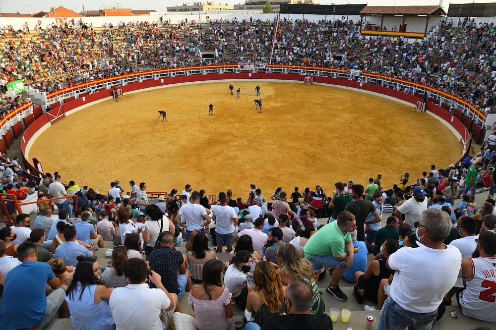 Reportaje fotográfico del Norte de Castilla. Concurso Nacional de Cortes en Medina del Campo 2021