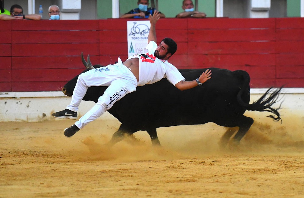 Reportaje fotográfico del Norte de Castilla. Concurso Nacional de Cortes en Medina del Campo 2021