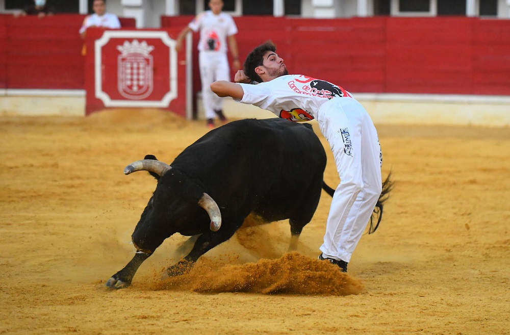 Reportaje fotográfico del Norte de Castilla. Concurso Nacional de Cortes en Medina del Campo 2021