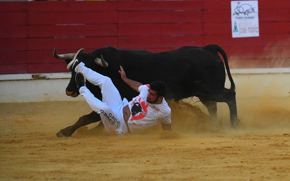 Reportaje fotográfico del Norte de Castilla. Concurso Nacional de Cortes en Medina del Campo 2021