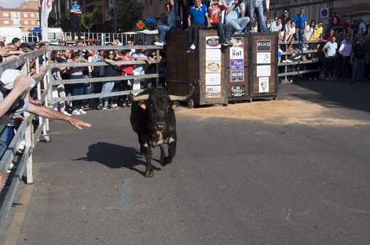 Imagen de archivo del Toro de la Feria de Medina del Campo