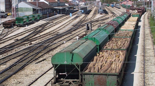 Dos convoyes de mercancías, estacionados en vías secundarias de la estación de Monforte. AEP