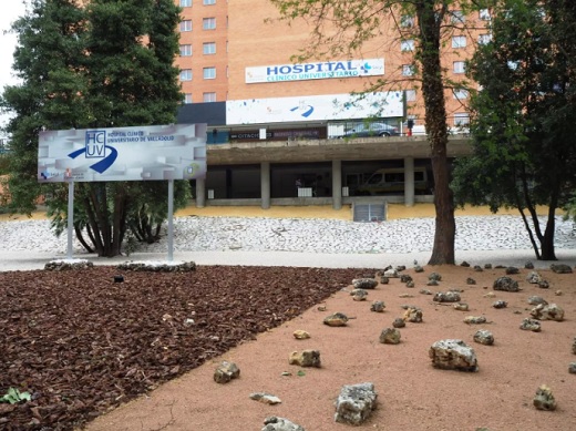 Archivo - Jardín frente a la fachada principal del Hospital Clínico Universitario de Valladolid - HOSPITAL CLÍNICO - Archivo