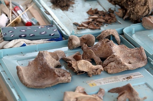 Exhumación de víctimas del Franquismo en Medina del Campo (Valladolid), durante los trabajos realizados por la ARMH en verano de 2021.- ICAL