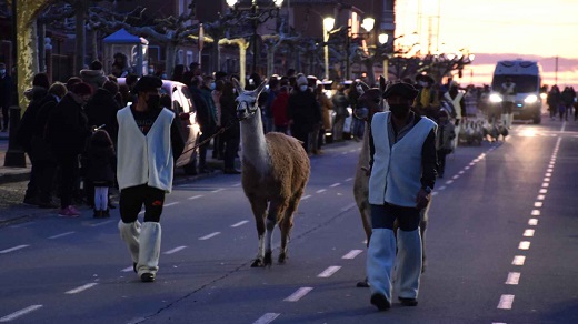 Presencia del desfile de la cabalgata de los Reyes Mayor por las calles de Medina del Campo.