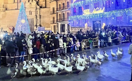 Un grupo de ocas, en el desfile. / P. G.