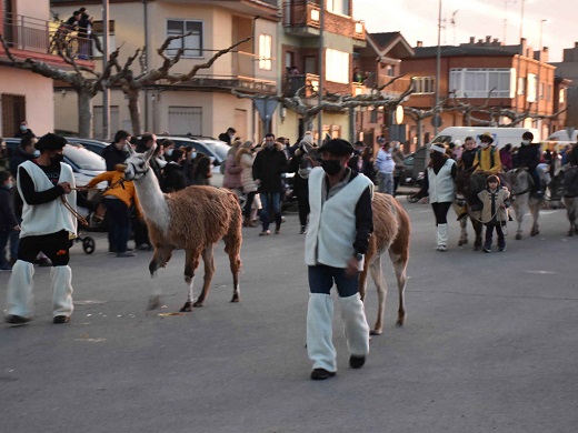 Presencia del desfile de la cabalgata de los Reyes Mayor por las calles de Medina del Campo.