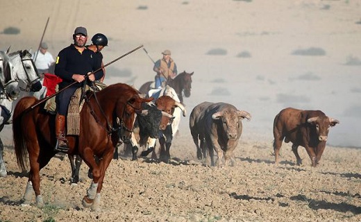 Encierro 6 Septiembre – San Antolín 2022 Medina del Campo.