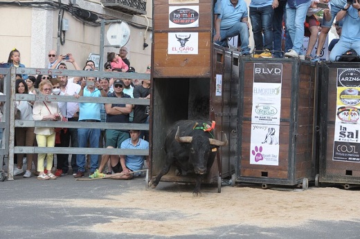 Festejo del Toro de la Feria / Foto: Fermín Rodríguez