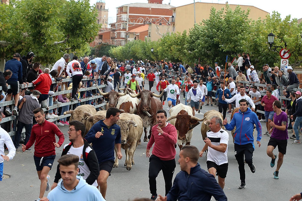 Encierro martes 06/09/2022 de las Ferias y Fiestas de San Antolín en Medina del Campo (REGRESAMOS)