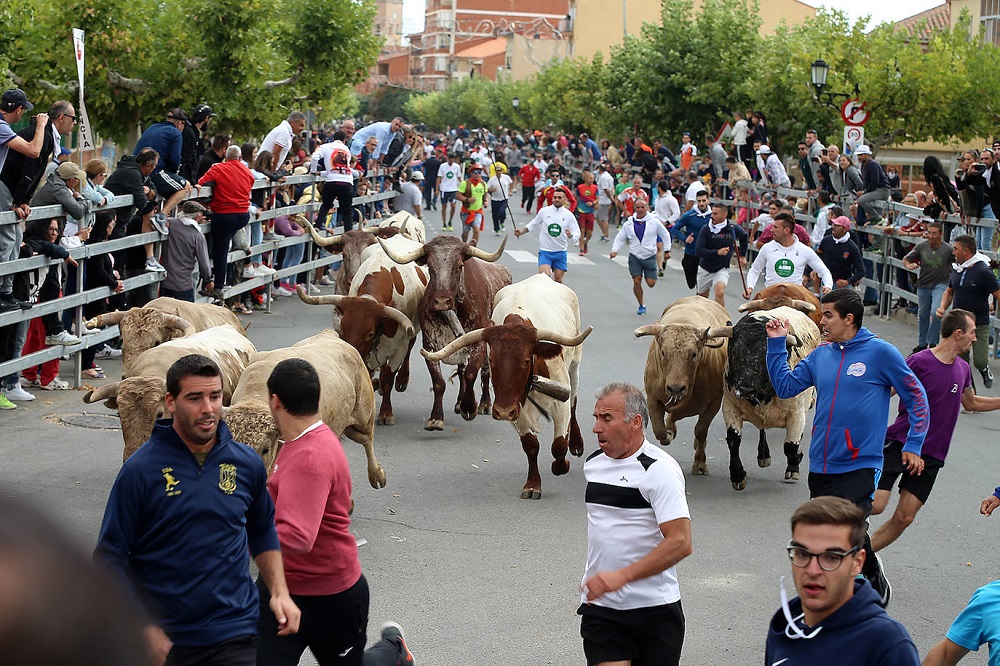 Encierro martes 06/09/2022 de las Ferias y Fiestas de San Antolín en Medina del Campo (REGRESAMOS)