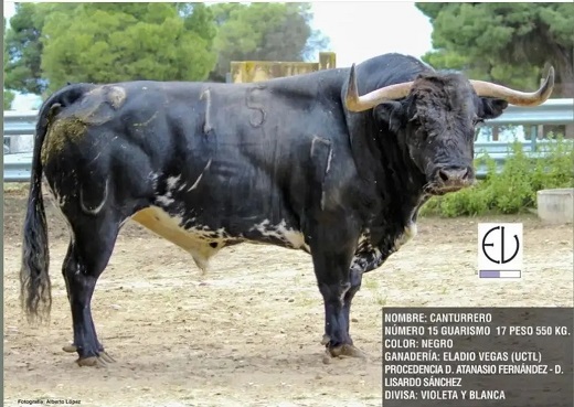 Presentación "Toro de la Feria"