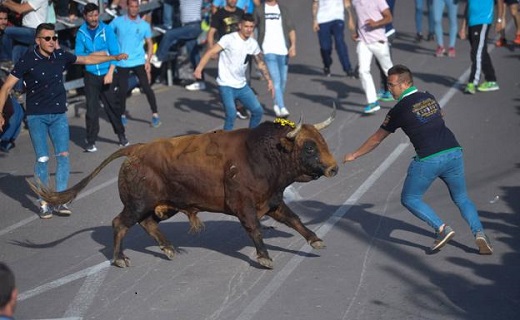 Una de las pasadas ediciones del Toro de la Feria. / RODRIGO JIMÉNEZ