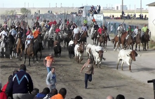 Medina del Campo estudia la realización de un quinto encierro tradicional para San Antolín 2022.