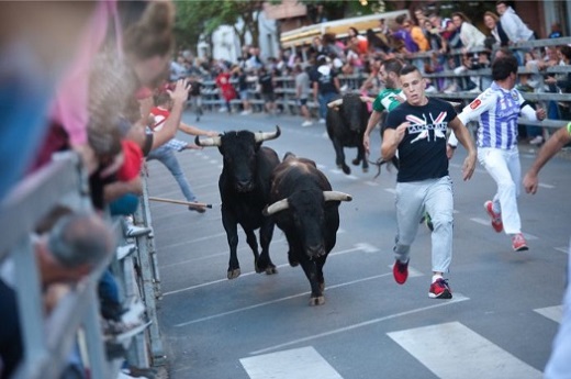 Foto: Fermín Rodríguez