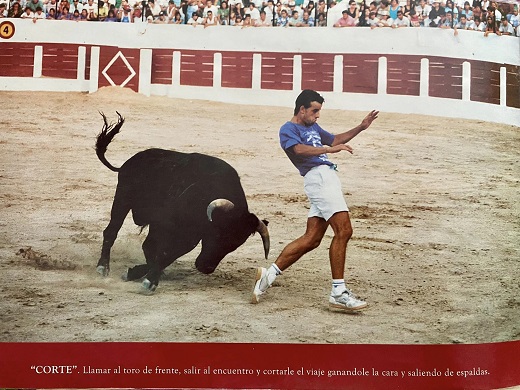 Tal día como hoy, 24 de agosto, de hace 43 años, nacía la idea de los premios de cortes en Medina del Campo. 