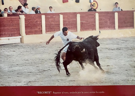 Tal día como hoy, 24 de agosto, de hace 43 años, nacía la idea de los premios de cortes en Medina del Campo. 