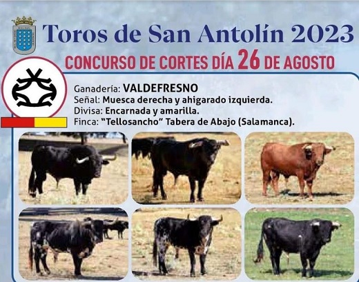28 cortadores desafiarán la destreza de los toros de Valdefresno en Medina del Campo.