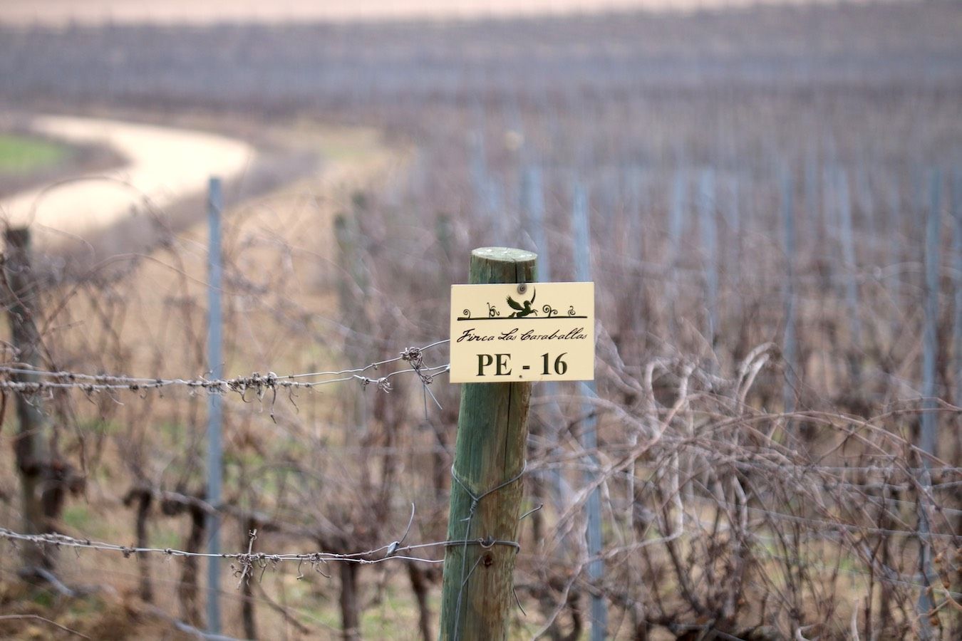 Una de las parcelas ecológicas de la Finca Las Caraballas


