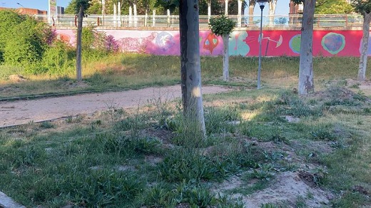 Los trabajadores de Lince no se encargan, durante unas semanas, del mantenimiento de jardines / Cadena SER