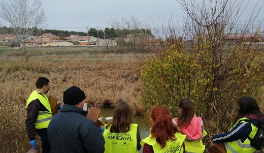 Medina del Campo plantará alrededor de 200 árboles el próximo 4 de marzo en la cañada de Extremadura.