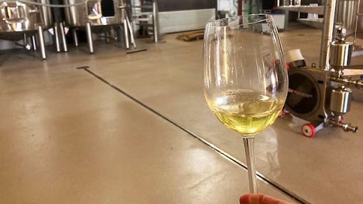 Catando en las instalaciones de Bodegas Finca las Caraballas – Destino Castilla y León