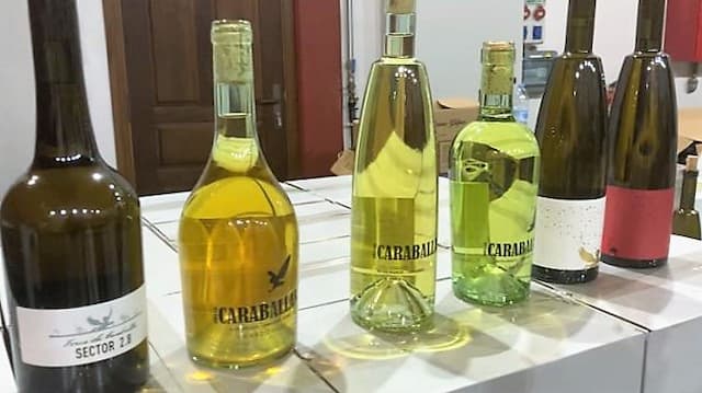 Vinos de Finca las Caraballas – Destino Castilla y León