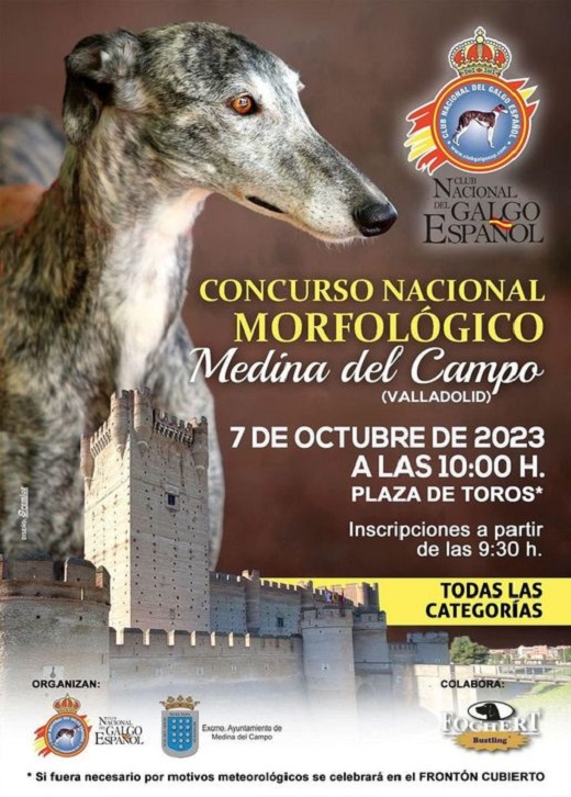 Medina del Campo celebra este 7 de octubre el Concurso nacional Morfológico del Club Galgo español.